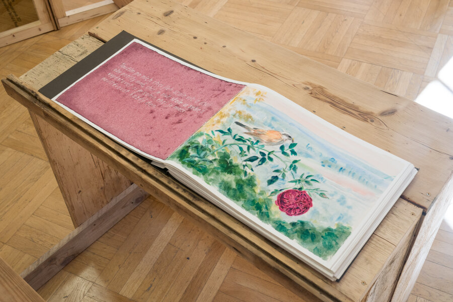 Terapie venkovem, foto Jan Prokopius